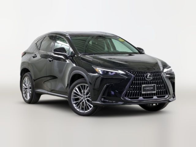 2025 Lexus NX 350h Premium