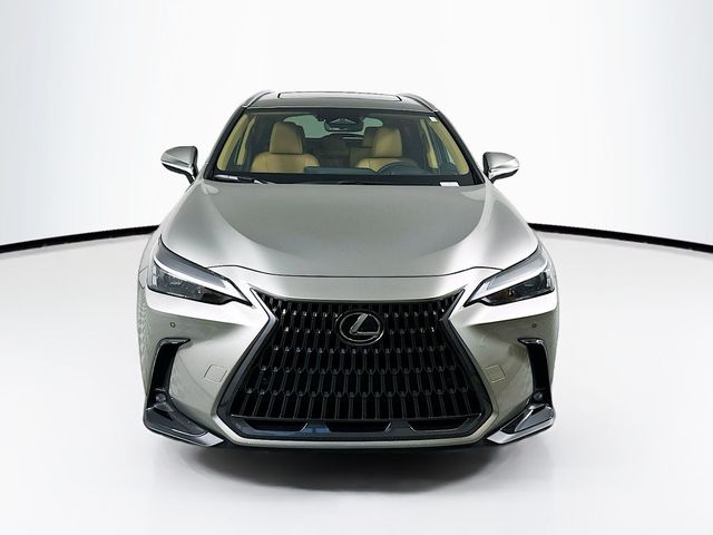 2025 Lexus NX 350h Premium