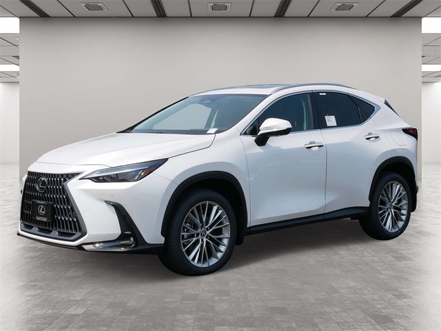 2025 Lexus NX 350h Premium