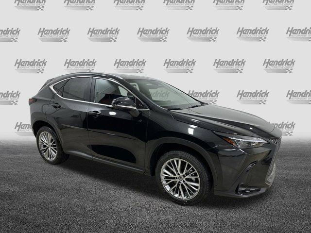 2025 Lexus NX 350h Premium