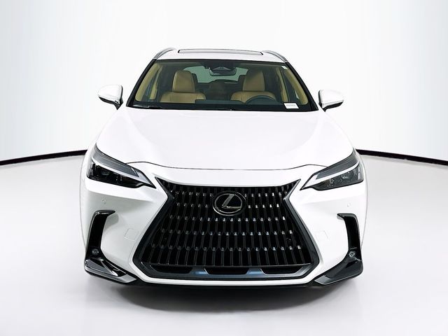 2025 Lexus NX 350h Premium