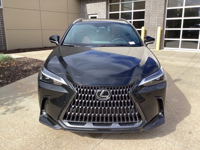 2025 Lexus NX 350h Premium