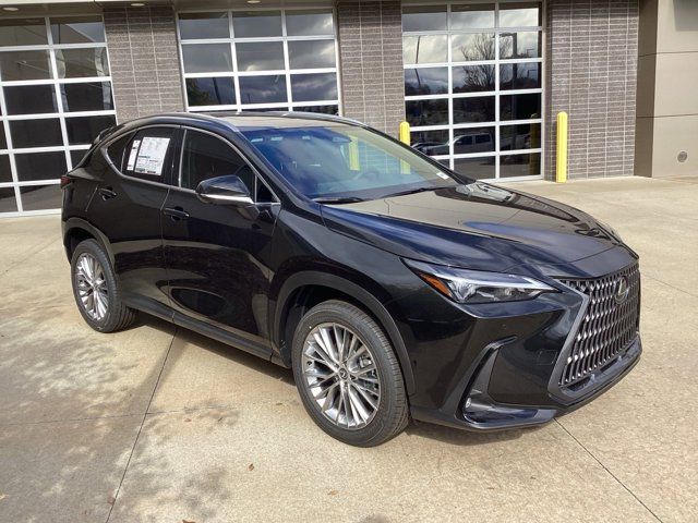 2025 Lexus NX 350h Premium