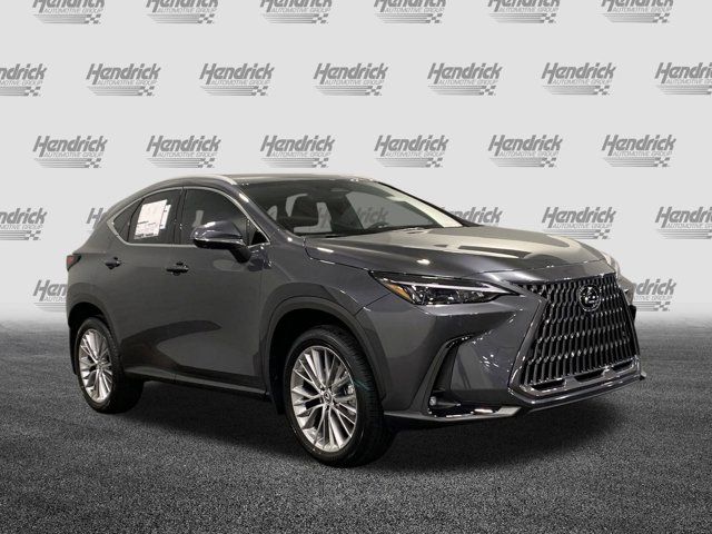 2025 Lexus NX 350h Premium