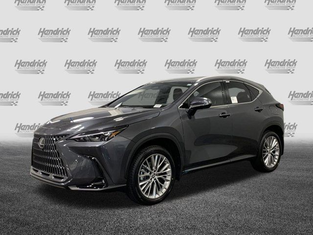 2025 Lexus NX 350h Premium