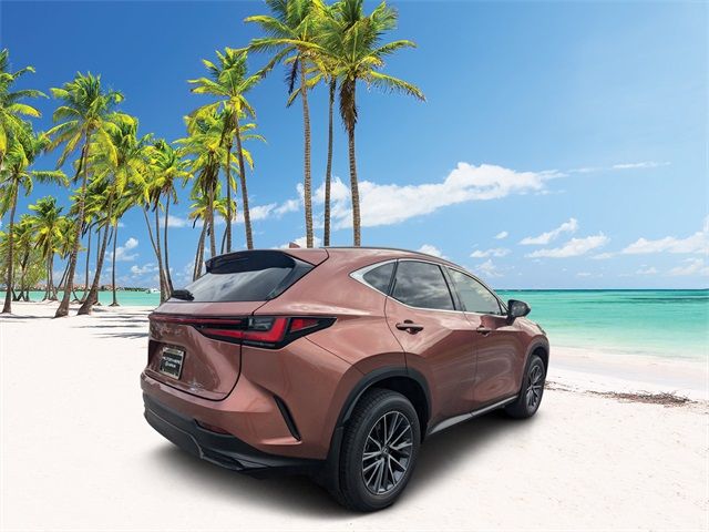 2025 Lexus NX 350h Premium