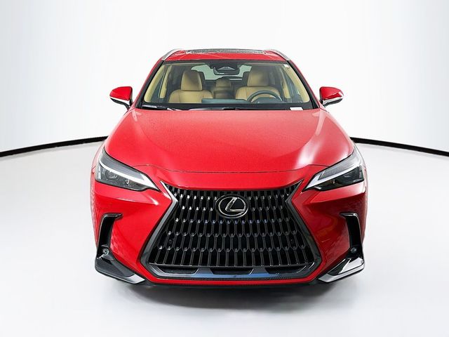 2025 Lexus NX 350h Premium