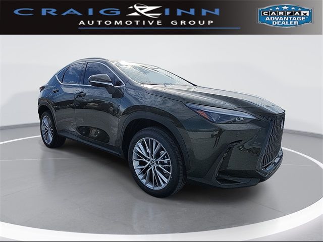 2025 Lexus NX 350h Premium