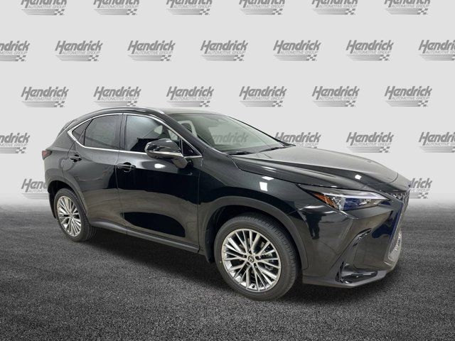 2025 Lexus NX 350h Premium