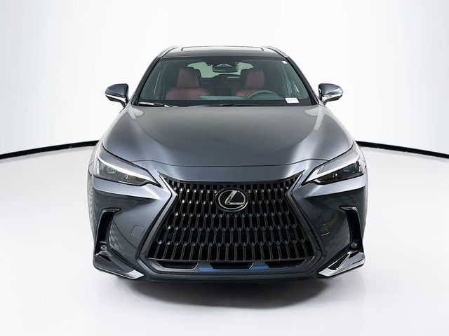 2025 Lexus NX 350h Premium