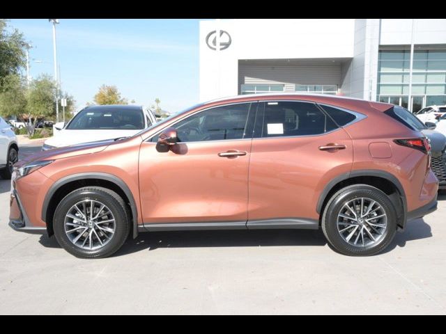 2025 Lexus NX 350h Premium