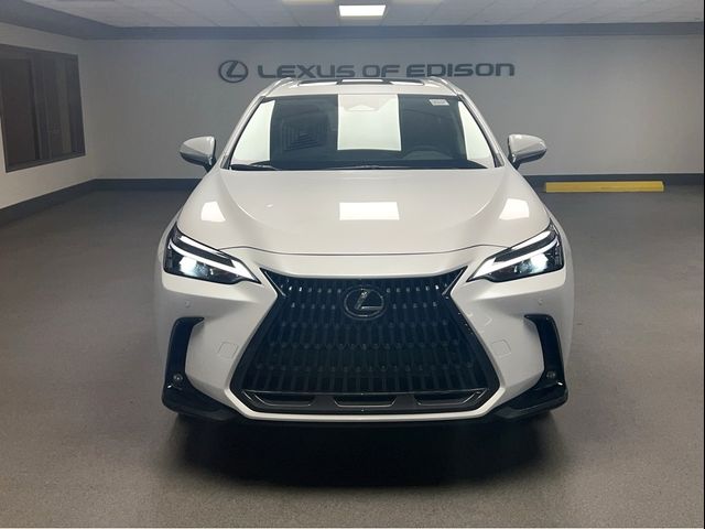 2025 Lexus NX 350h Premium