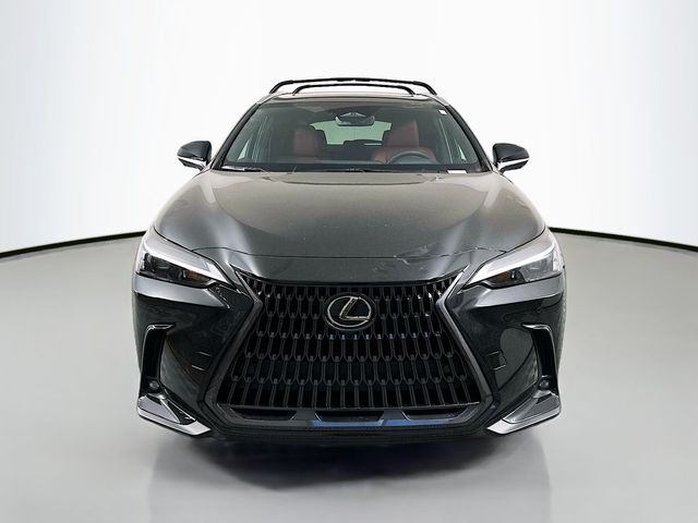 2025 Lexus NX 350h Premium