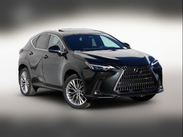 2025 Lexus NX 350h Premium