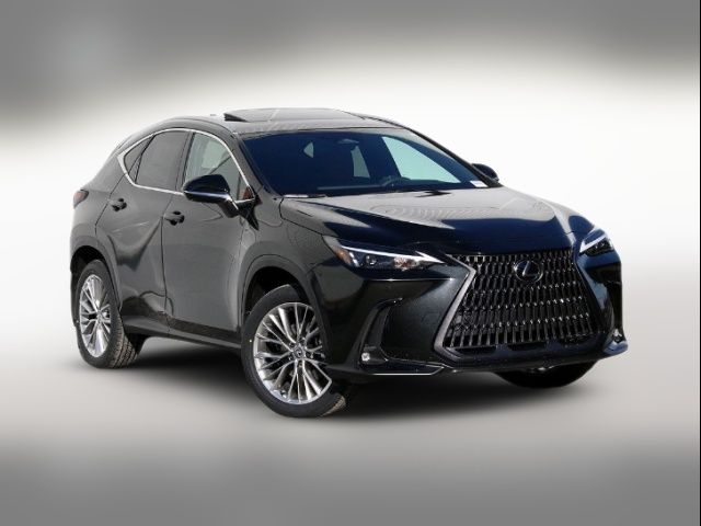 2025 Lexus NX 350h Premium