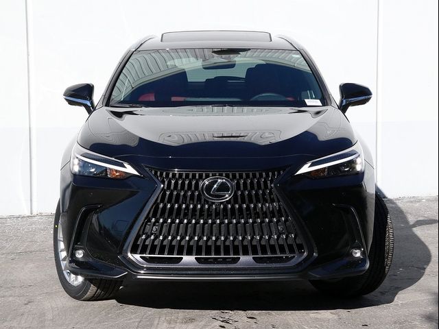 2025 Lexus NX 350h Premium