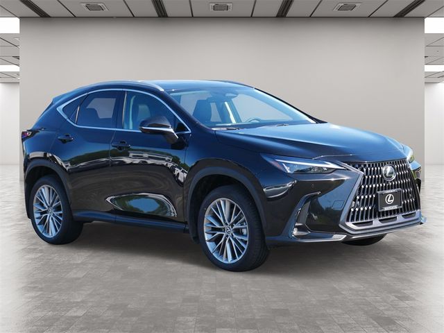 2025 Lexus NX 350h Premium