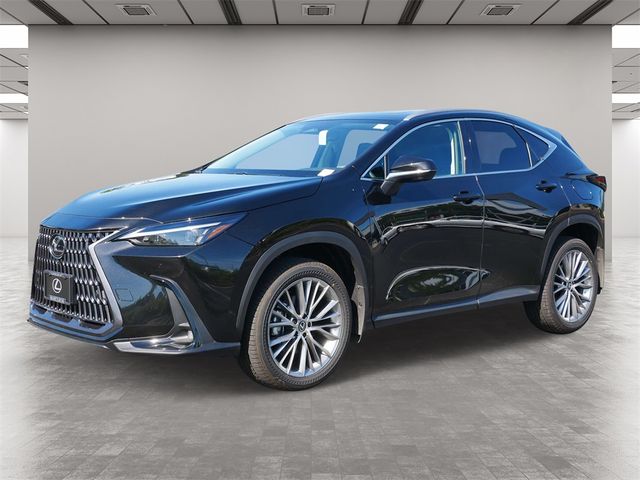 2025 Lexus NX 350h Premium