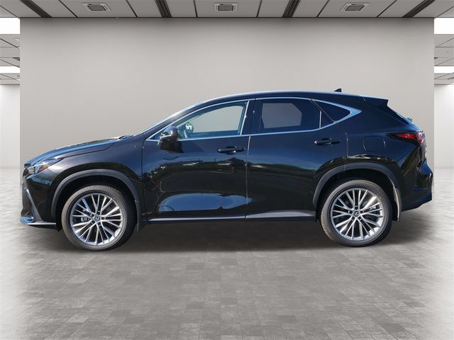 2025 Lexus NX 350h Premium