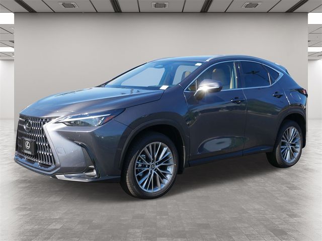 2025 Lexus NX 350h Premium