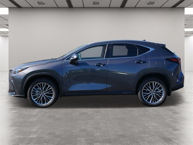 2025 Lexus NX 350h Premium