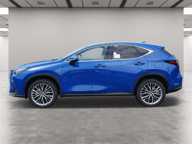 2025 Lexus NX 350h Premium