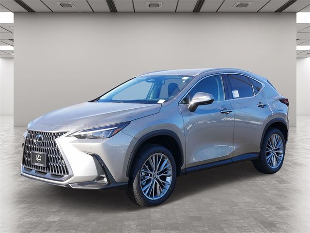 2025 Lexus NX 350h Premium