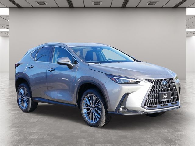 2025 Lexus NX 350h Premium