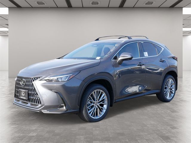 2025 Lexus NX 350h Premium