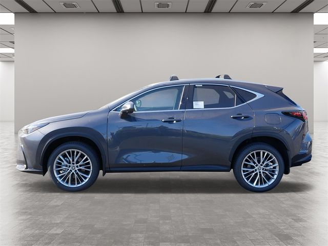 2025 Lexus NX 350h Premium