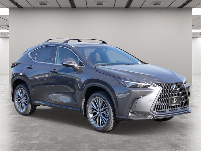 2025 Lexus NX 350h Premium