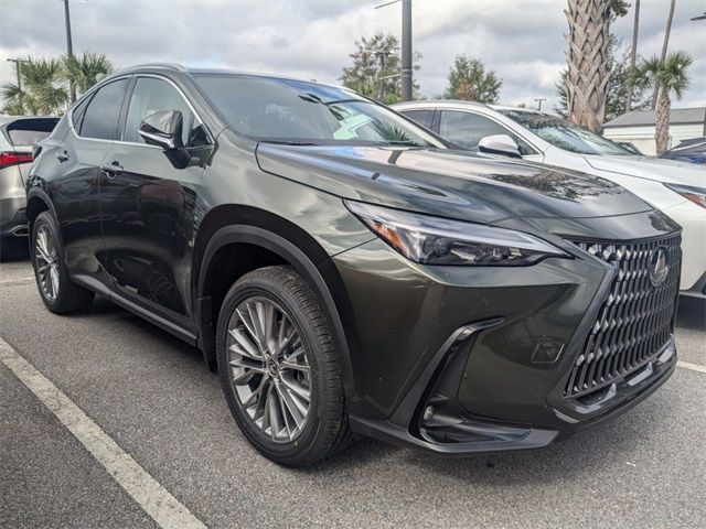 2025 Lexus NX 350h Premium