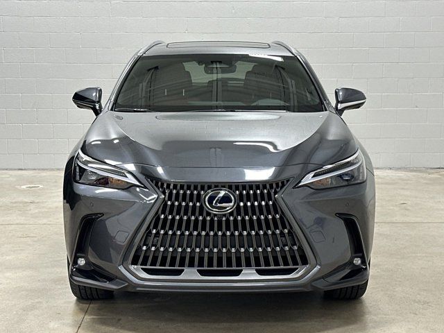 2025 Lexus NX 350h Premium