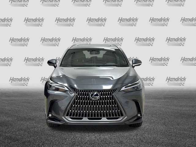 2025 Lexus NX 350h Premium