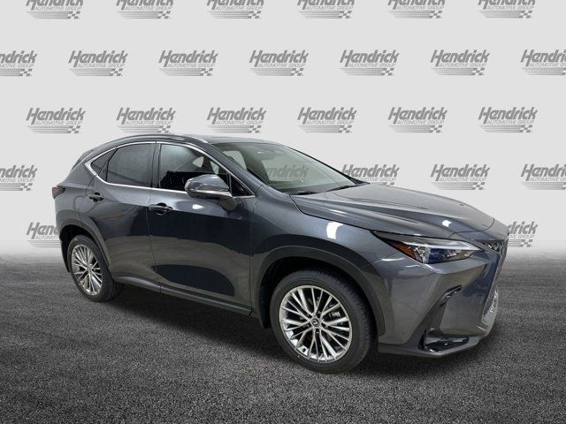 2025 Lexus NX 350h Premium