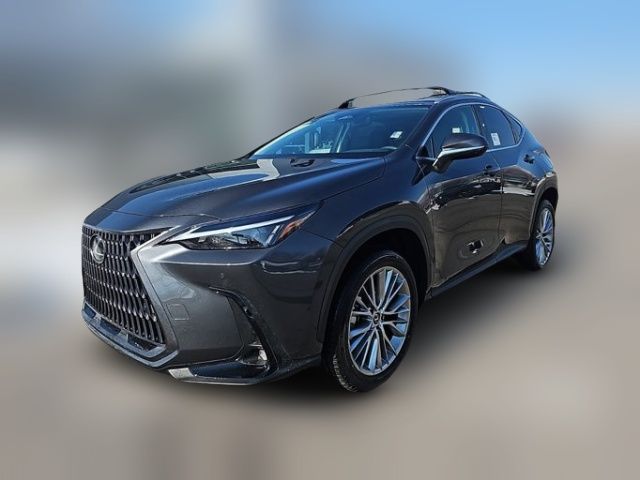 2025 Lexus NX 350h Premium