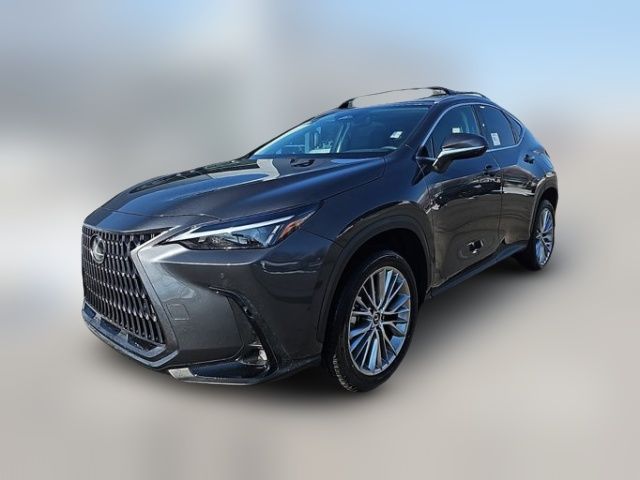 2025 Lexus NX 350h Premium