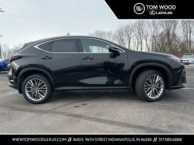 2025 Lexus NX 350h Premium