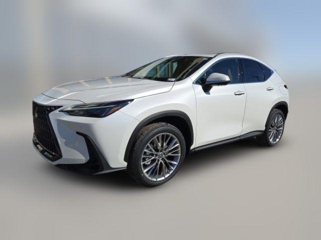 2025 Lexus NX 350h Premium