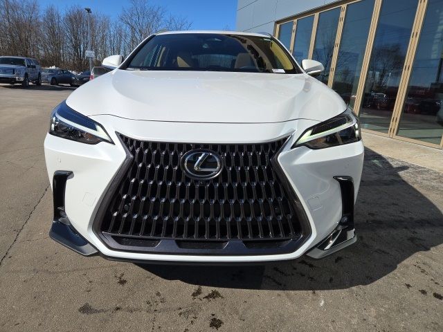 2025 Lexus NX 350h Premium