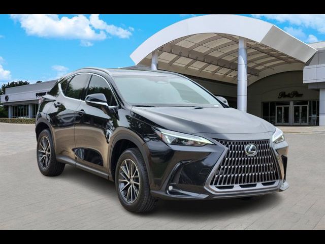 2025 Lexus NX 350h Premium