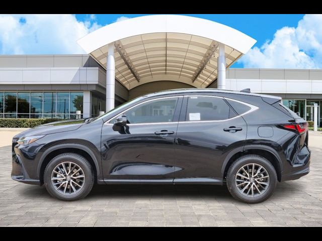 2025 Lexus NX 350h Premium