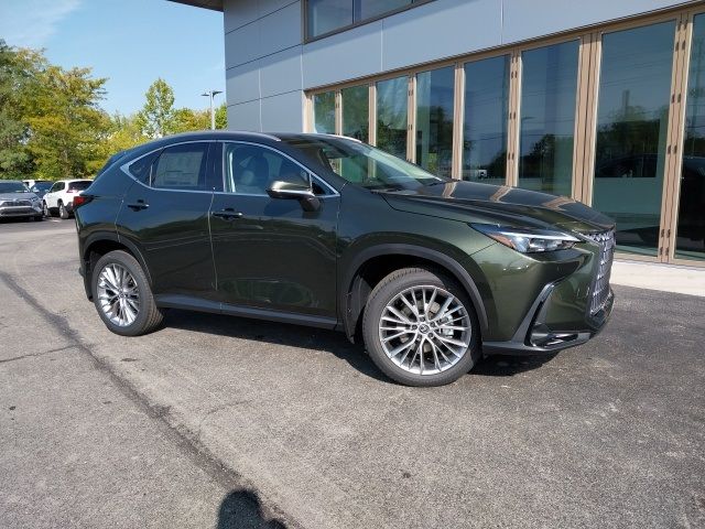 2025 Lexus NX 350h Premium