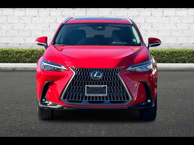 2025 Lexus NX 350h Premium