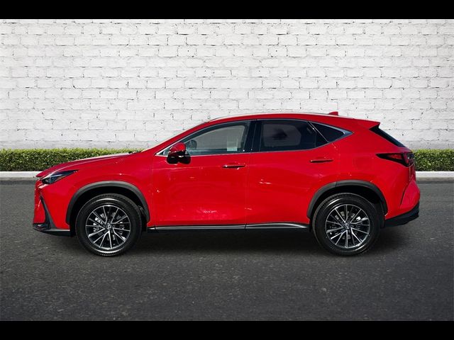 2025 Lexus NX 350h Premium