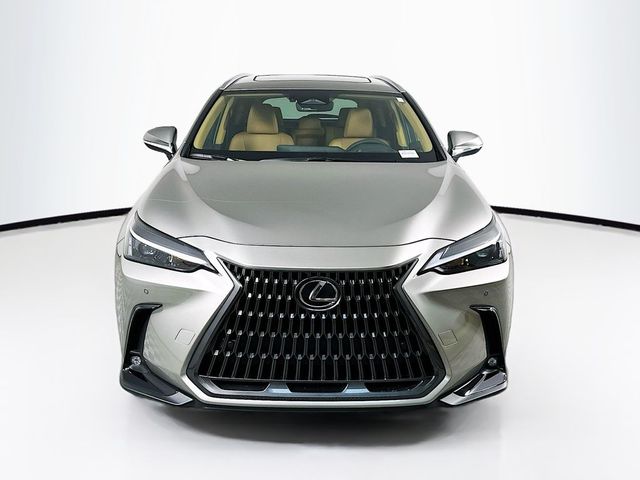 2025 Lexus NX 350h Premium