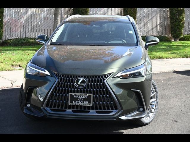 2025 Lexus NX 350h Premium