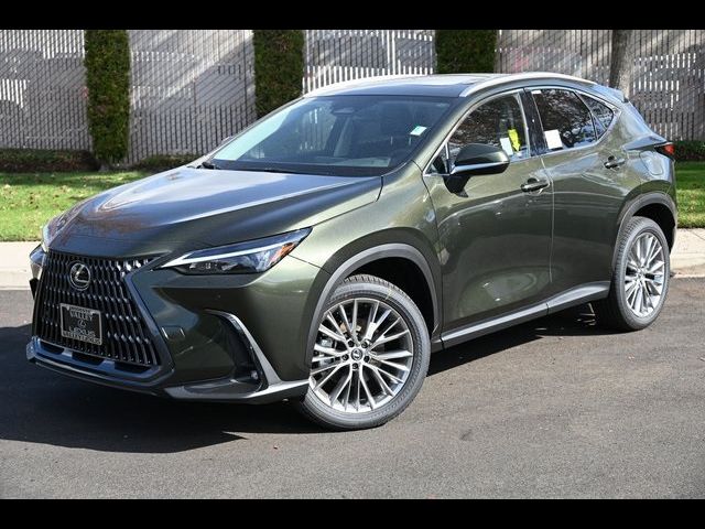 2025 Lexus NX 350h Premium