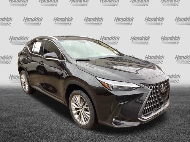 2025 Lexus NX 350h Premium