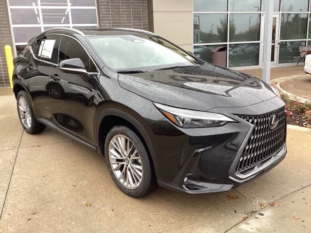 2025 Lexus NX 350h Premium